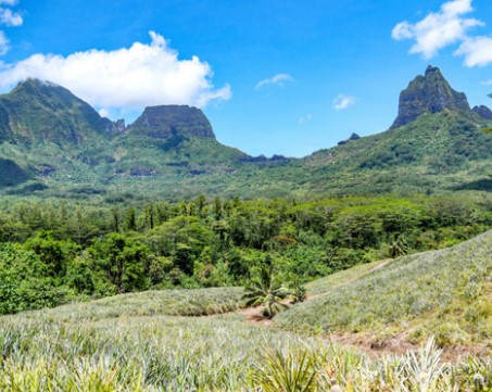 Sailing canoe in Bora Bora ? Gr?goire Le Bacon